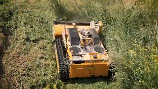 Extreme RC slope mower - AS 1000 OVIS RC screenshot 1