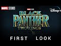 Black panther 2 wakanda forever biggest reveal about new king explained in hindi