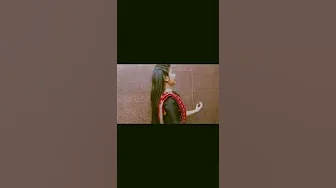 Snehithane X in my bed remix slow motion video/#footstepswithali #aliza #footsteps