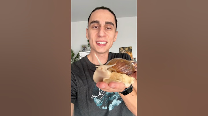 MON ESCARGOT GÉANT VISITE MARSEILLE 😱