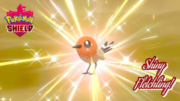 ✨Pokémon Shield: SHINY FLETCHLING VIA THE MASUDA METHOD! (899 EGGS)✨