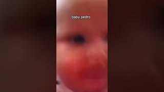 Download Lagu Baby Pedro MP3 Download Lagu Baby Pedro MP3