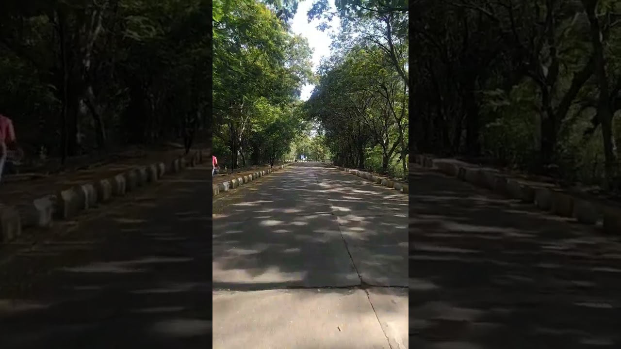 beautiful universities campus Dr BAMU 