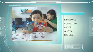Giáo Dục STEM | Học STEM Robot | Ho Chi Minh | stemcenter.edu.vn