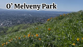 Step by step hiking guide to Mission Point at O’Melveny Park, Granada Hills