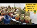 When do i start watering my cacti after winter  cactus cactusplants