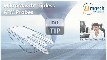 MikroMasch HQ Line Tipless AFM Probes