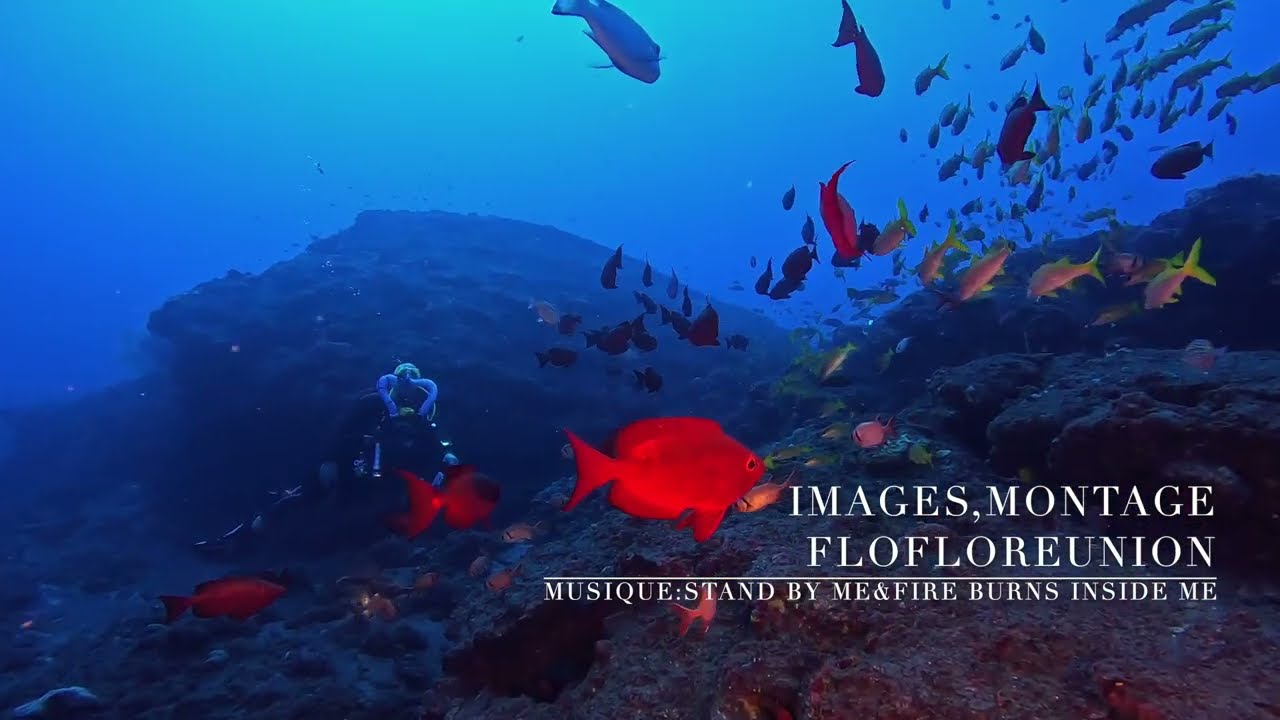 🇷🇪 2023 06 20 PETIT COULOIR 🇷🇪 rEvo