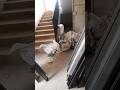Elevator cabin installation