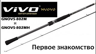 Первое знакомство с Graphiteleader VIVO NUOVO 802M и 802MH