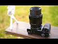 The Sony 50mm F2.8 Macro is Optically Perfect