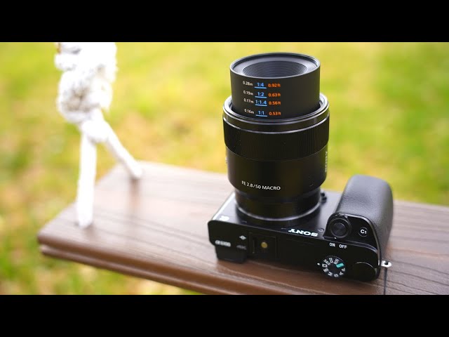 The Sony 50mm F2.8 Macro is Optically Perfect - YouTube