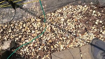 Test an electric fence with a common household LED bulb.