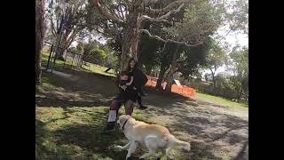 Never work with Children or animals