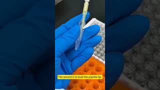What should I do if there are too many bubbles when pipetting ELISA samples#lab #chemistry #ciencia