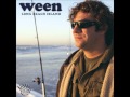 Ween - The Long Beach Island Tapes (Full Demo)