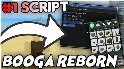 NEW Booga Booga Reborn Script GUI  Hack  Item Farm  Kill Aura + Fly  PASTEBIN 2025