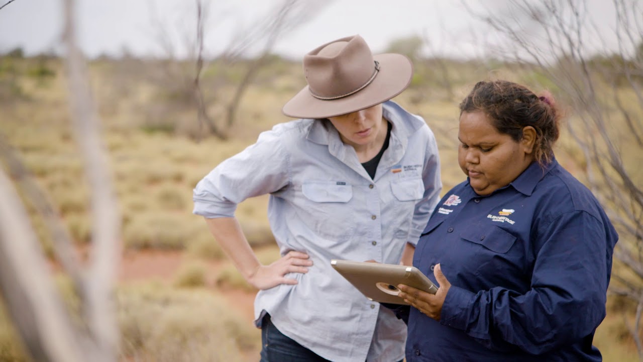 Jobs & Careers in Conservation - Bush Heritage Australia