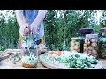 My Torshi Recipe Collection find your Favourite Pickle ترشیهای خوشرنگ من مخلوط، سیرترشی ترشی پیازچه