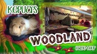 Kepuas Woodlands Guinea Pig Cage Tour!  And Meet The Chief!