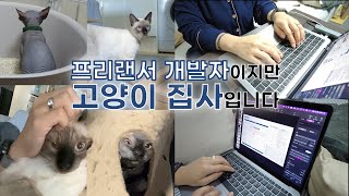😼프리랜서 개발자이지만 고양이 집사입니다😼 | 규격서만들기+고양이돌보기 하루가 짧다! | 프리랜서개발자의 하루 | 인계동 일본식 화로구이