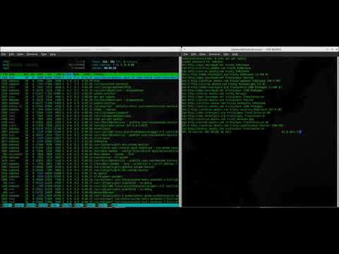 Computer terminal code video sequence   free stock video
