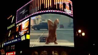 Breakdancing Bear REVIVAL