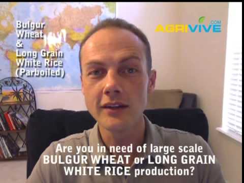 selling-bulk-wholesale,-wheat,-long-grain-white-rice-supply,-bulgur-wheat,-long-grain-white-rice