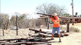 Bastidores, Seu Antônio Toma Banho Mais Rosinha,,
