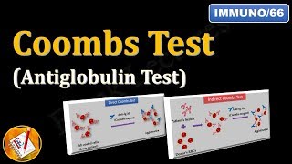 Coombs test (or Antiglobulin Test) (FL-Immuno/66)