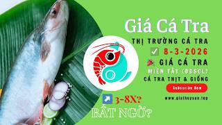 🔴 Thị trường Cá Tra Miền Tây [8/3/2026] ✅ #giacatra #ĐBSCL Tây Ninh, Cần Thơ, An Giang & Đồng Tháp