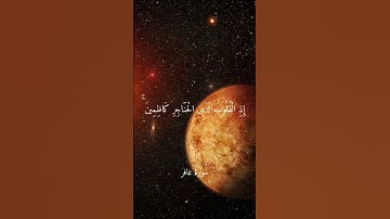تلاوة خاشعة بصوت الشيخ ماهر المعيقلي ارح سمعك.
