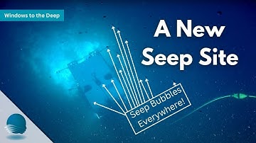 Windows to the Deep: A New Seep Site