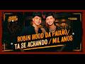 Robin Hood da Paixão / Tá se Achando / Mil Anos - João Pedro e Fellipe - Ao Vivo