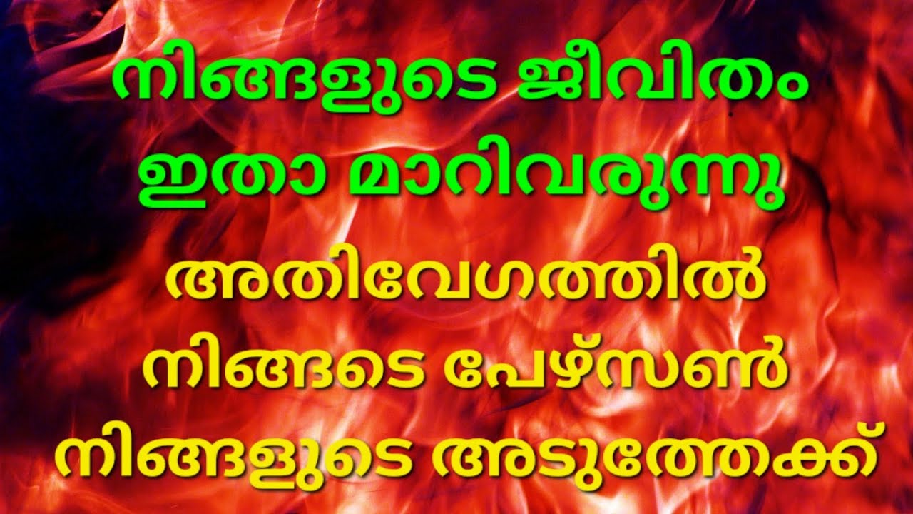 നിങ്ങളുടെ അടുത്തേക്ക് പേഴ്സൺ വരുന്നു നിങ്ങൾക്ക് അനുകൂലമായി കാലം #tarot #tarotreading