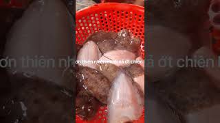 CÁ LỜN BƠN - ĐẶC SẢN CÁ SÔNG THÊN NHIÊN AN GIANG
