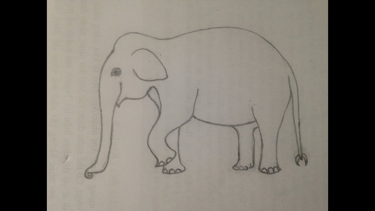 Cách vẽ con voi đơn giản | Hướng dẫn vẽ con voi bằng bút chì - YouTube