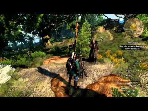 Video: The Witcher 3: How To Complete The Shock Therapy Quest?