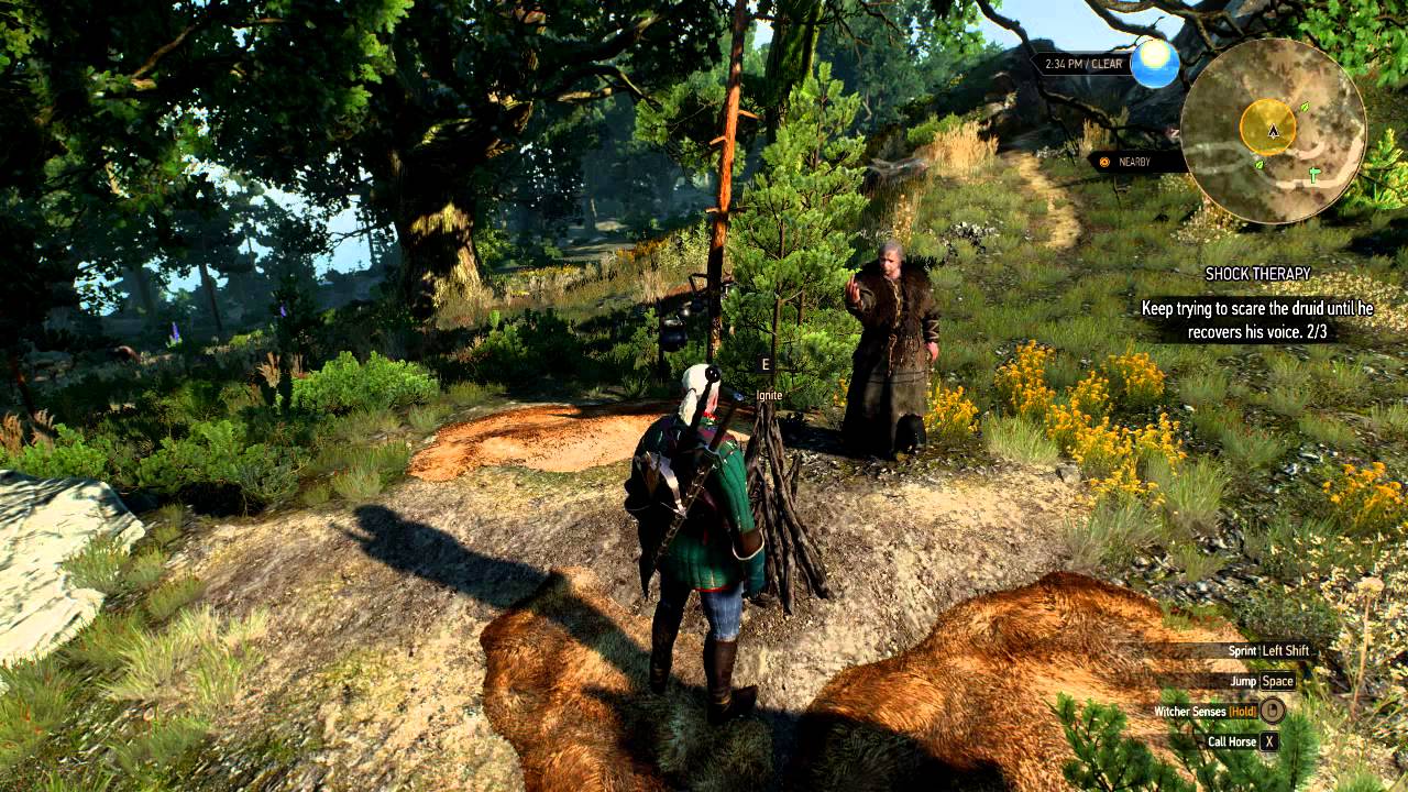 Best quests the witcher 3 фото 65