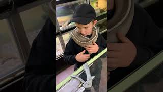 A snake named chocolate trying to make me his lunch 😂#adventure #snakecity #snake #python