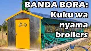 BANDA BORA LA KUKU WA NYAMA (BROILERS)