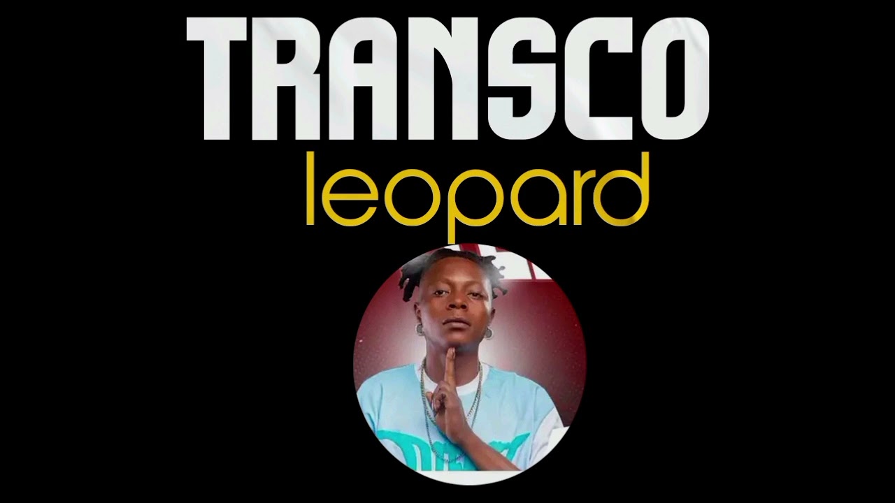 TRANSCO LÉOPARD FEAT LIL DJI BA SUPER NGB