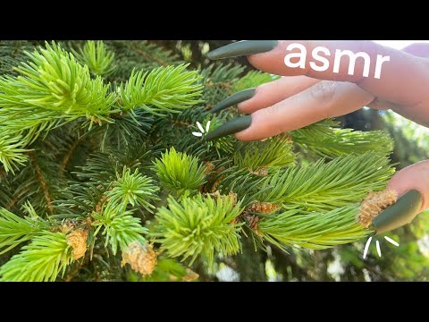 ASMR: Build up tapping & scratching - outdoors -