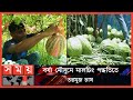 বারোমাসি তরমুজ চাষে ভাগ্য ফিরল তিন বন্ধুর | Patuakhali Watermelon | Watermelon Cultivation | SomoyTV