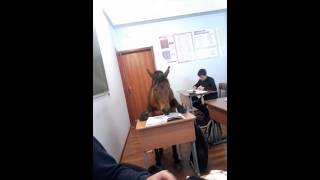 Full He Never Misses a Single Lecture Guide