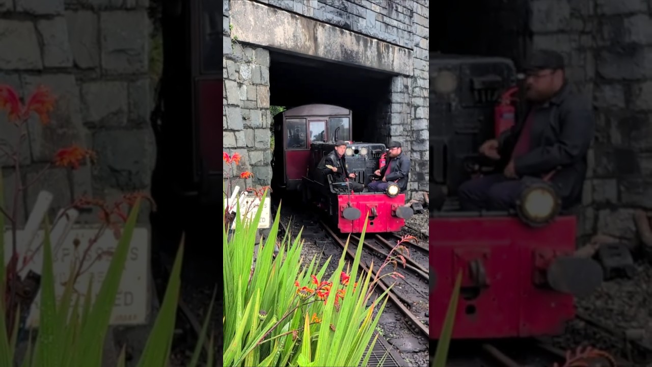 🛤️ Alf Brings in a Unique Train 