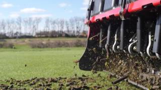 Genuine Toro Tines (English)