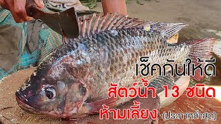 เช็คกันให้ดี สัตว์น้ำ 13 ชนิด 'ห้ามเลี้ยงในไทย' ประกาศล่าสุด