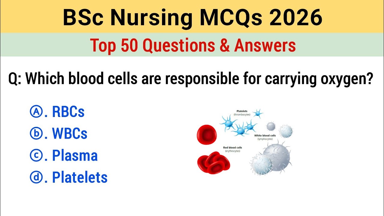 Вступительный экзамен на программу бакалавриата по сестринскому делу 2026 | Тесты с множественным...