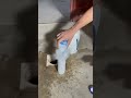 منظف المجاري